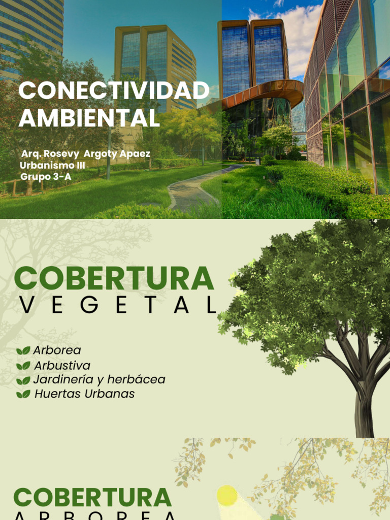 Conectividad Ambiental Compressed PDF Arboles Entorno natural