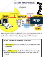 Transcription