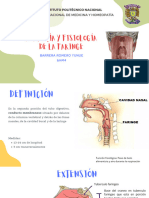 Anatomia y Fisiologia de La Faringe