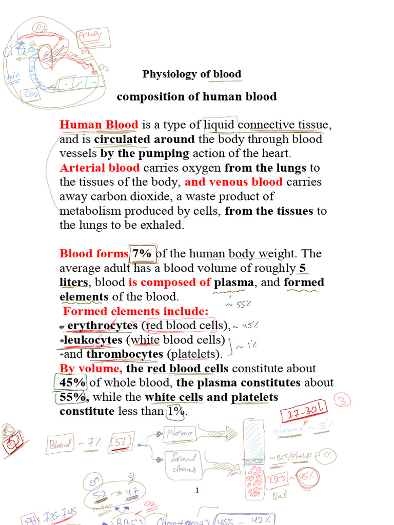Physiology Of Blood Pdf Coagulation Blood Type