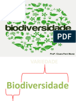 Aula sobre Preservação e conservação da Biodiversidade - 9º ano