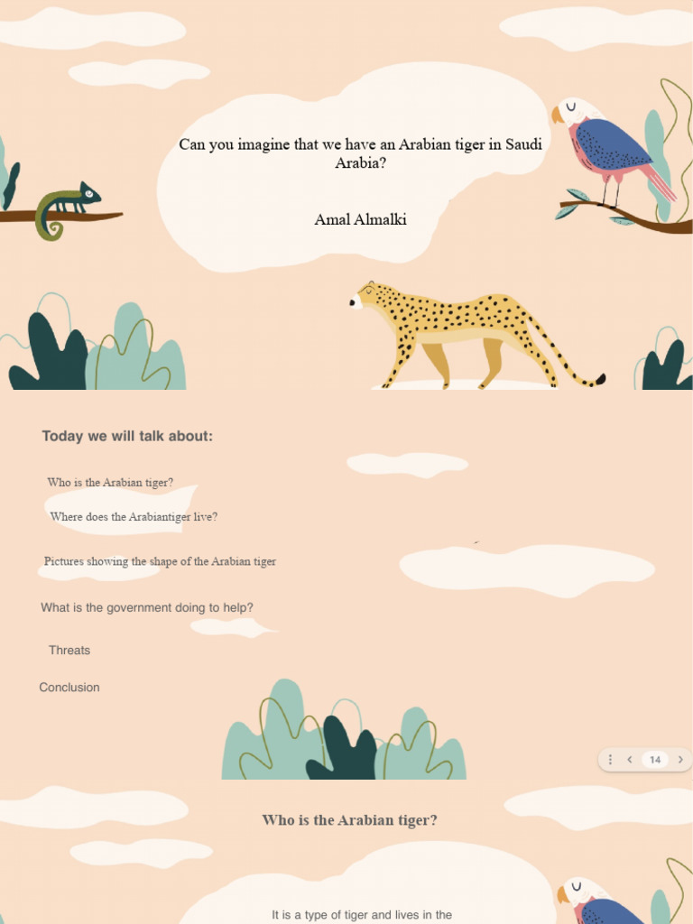 Arabian Tiger Conservation in Saudi Arabia | PDF