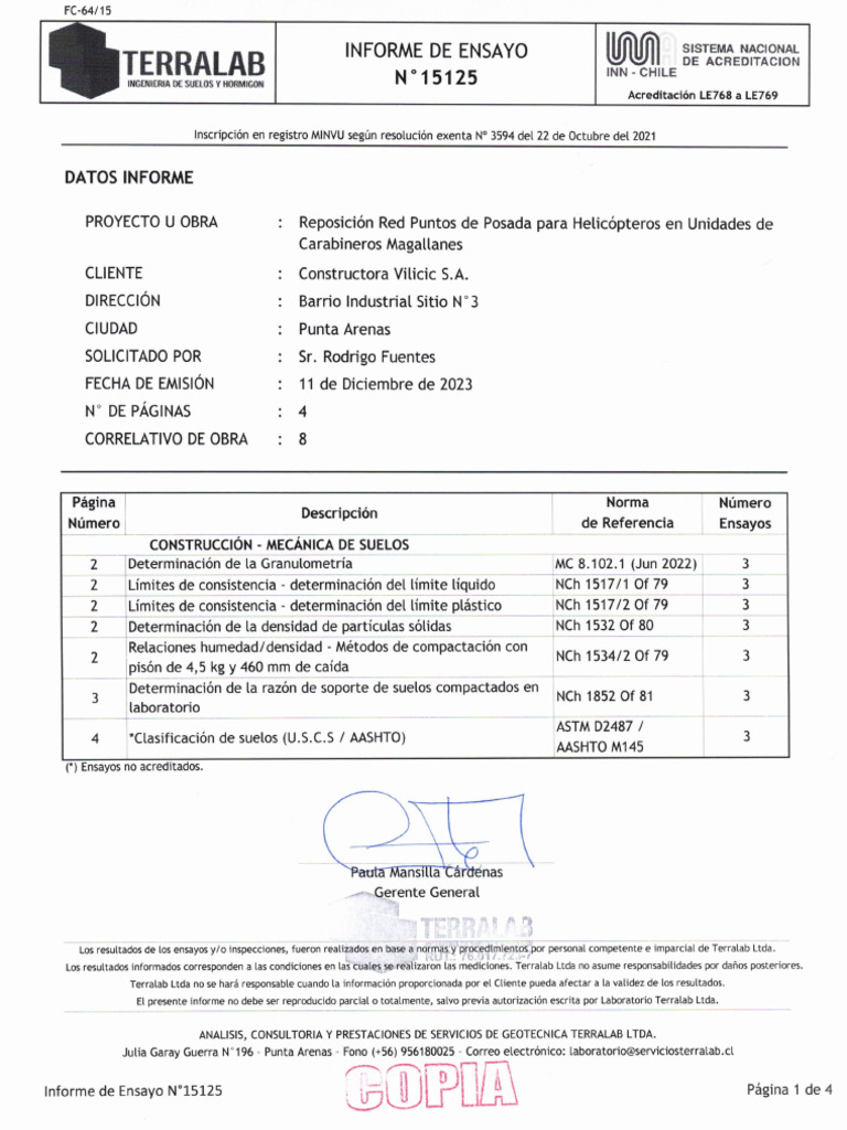 Informe de Ensayo 15125 | PDF