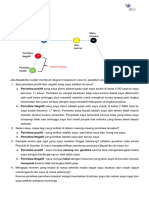 Tugas Yang Sayabuat Dalam Bentuk File PDF