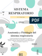 Sistema Respiratorio