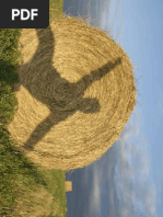 Download UIP_Spring2012 by University of Iowa Press SN73359689 doc pdf