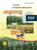 PTT_Jagung