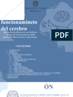 Funcionamiento del cerebro