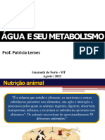 Metabolismo Da Água Aula 22-08