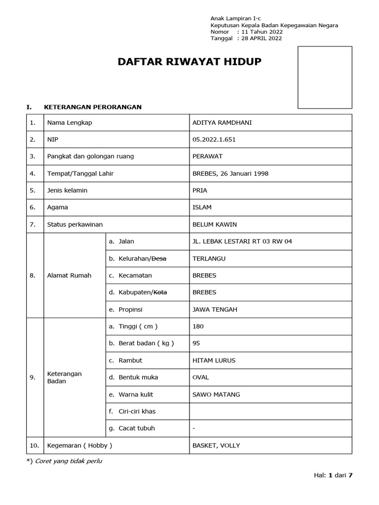 Daftar Riwayat Hidup Aditya Ramdhani | PDF