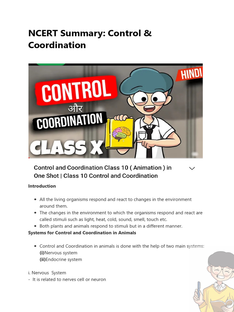 Control and Coordination in Animals | PDF | Neuron | Nervous System