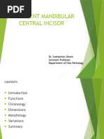 Maxillary Central Incisor Carving Guide | PDF | Tooth | Mouth