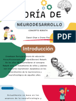 Teoría del Neurodesarrollo