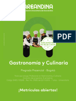 Brochure Gastronomia y Culinaria Areandina 2022