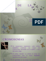 Genetica Animal-Clase 3