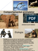 Comportamentul Animalelor