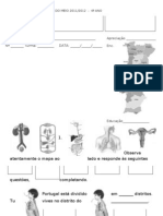 Diagnostic A 4oano 1estudo Do Meio201011