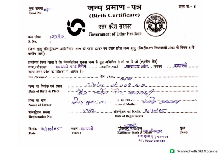 HOW TO GET PDF OF BIRTH CERTIFICATE visual data 5