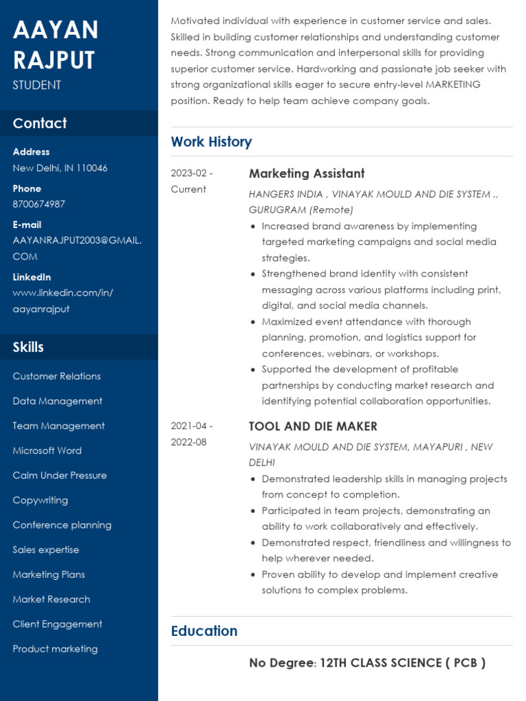 Aayan Rajput's Marketing Resume | PDF | Marketing | Customer ...