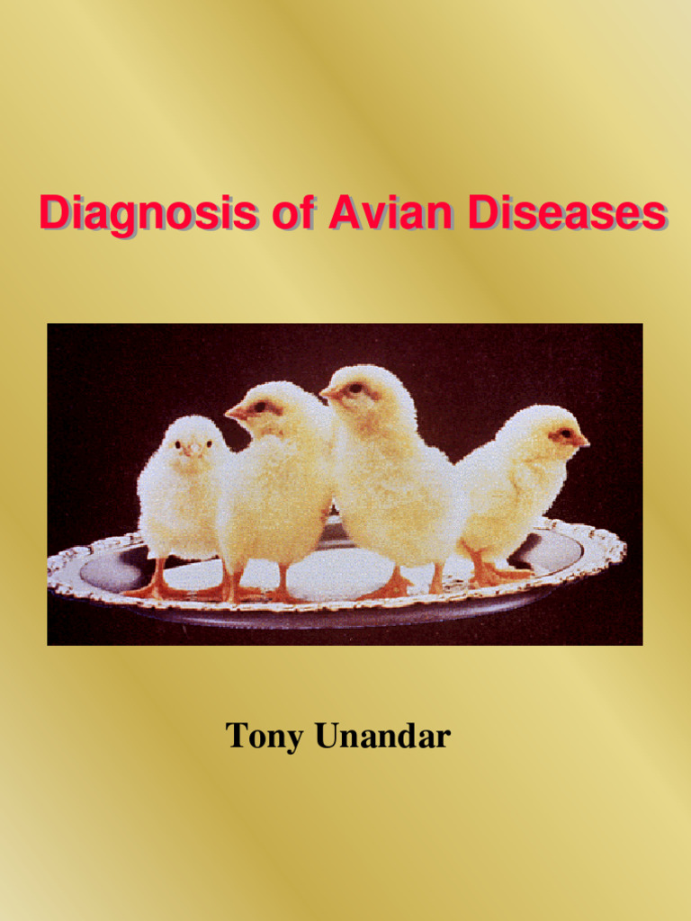 Avian Disease Diagnosis Guide | PDF | Respiratory Tract | Mucus