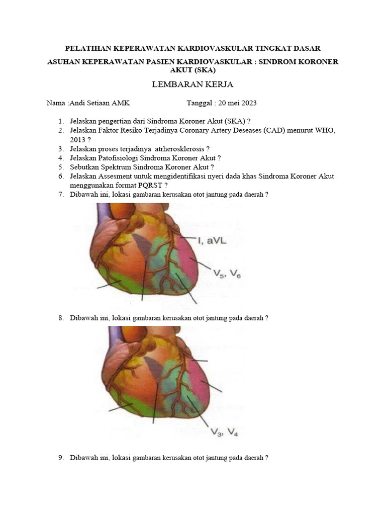 Lembaran Kerja Asuhan Keperawatan Pasien Kardiovaskular Sindroma