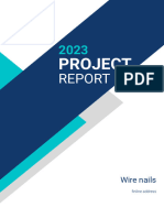 Project Report-Wire Nail
