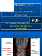 Cópia de EXERCICIO de Anatomia Radiológica R 94-90-93 B