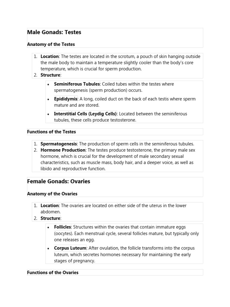 Male Gonads | Download Free PDF | Ovary | Testicle