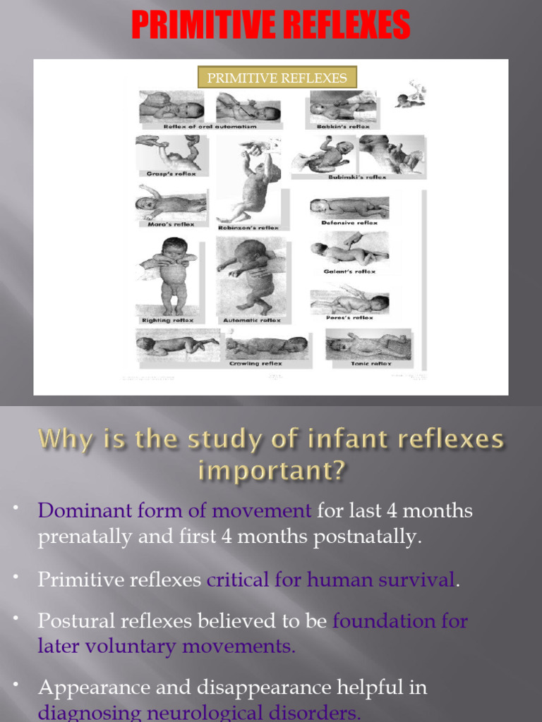 Pri Reflexes | PDF | Anatomical Terms Of Motion | Neuroscience