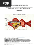 Accessory Respiratory Organs in Fishes | PDF | Gill | Respiratory System