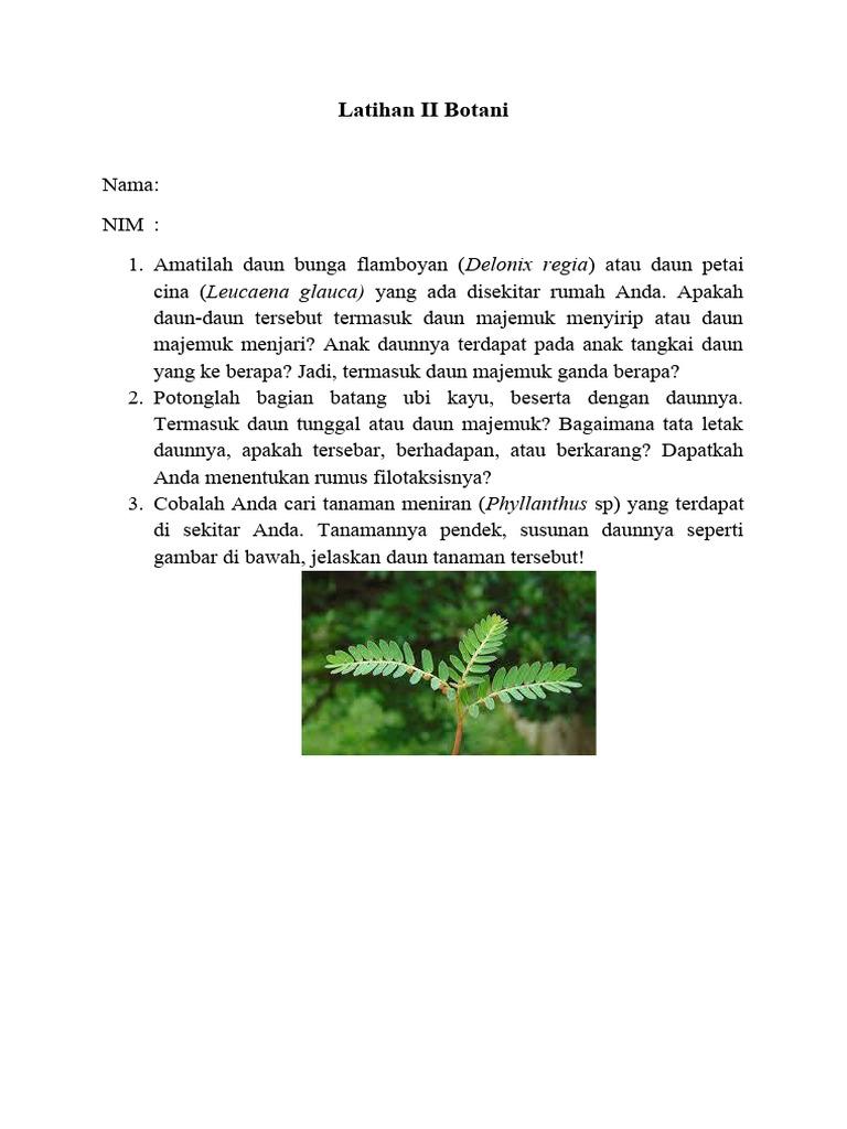 Analisis Daun dan Batang Tumbuhan | PDF