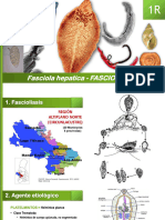 FASCIOLIASIS