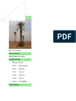 Download Pohon Kurma by Herry Romianto SN73370939 doc pdf
