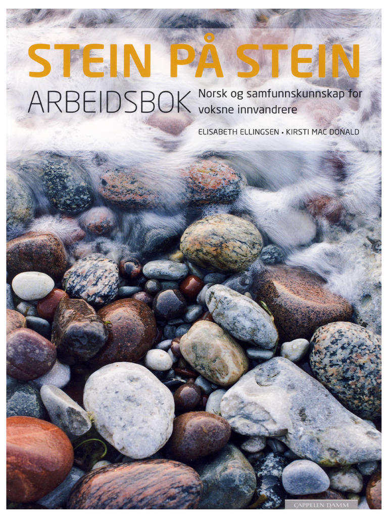 stein-p-stein-arbeidsbok-pdf-drive-pdf