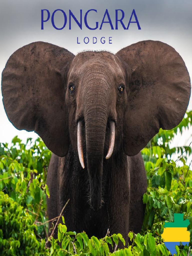 Coastal Eco-Resort in Pongara National Park | PDF