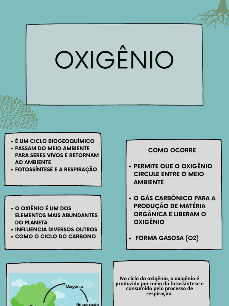Ciclo do Oxigênio e Sua Importância | PDF