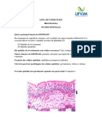 Lista de Exercícios - Tecido Epitelial (Gabarito) (1)