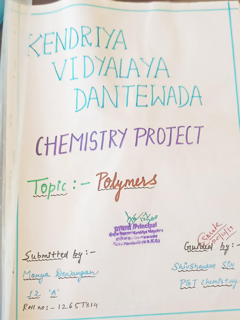 Project Polymers | PDF