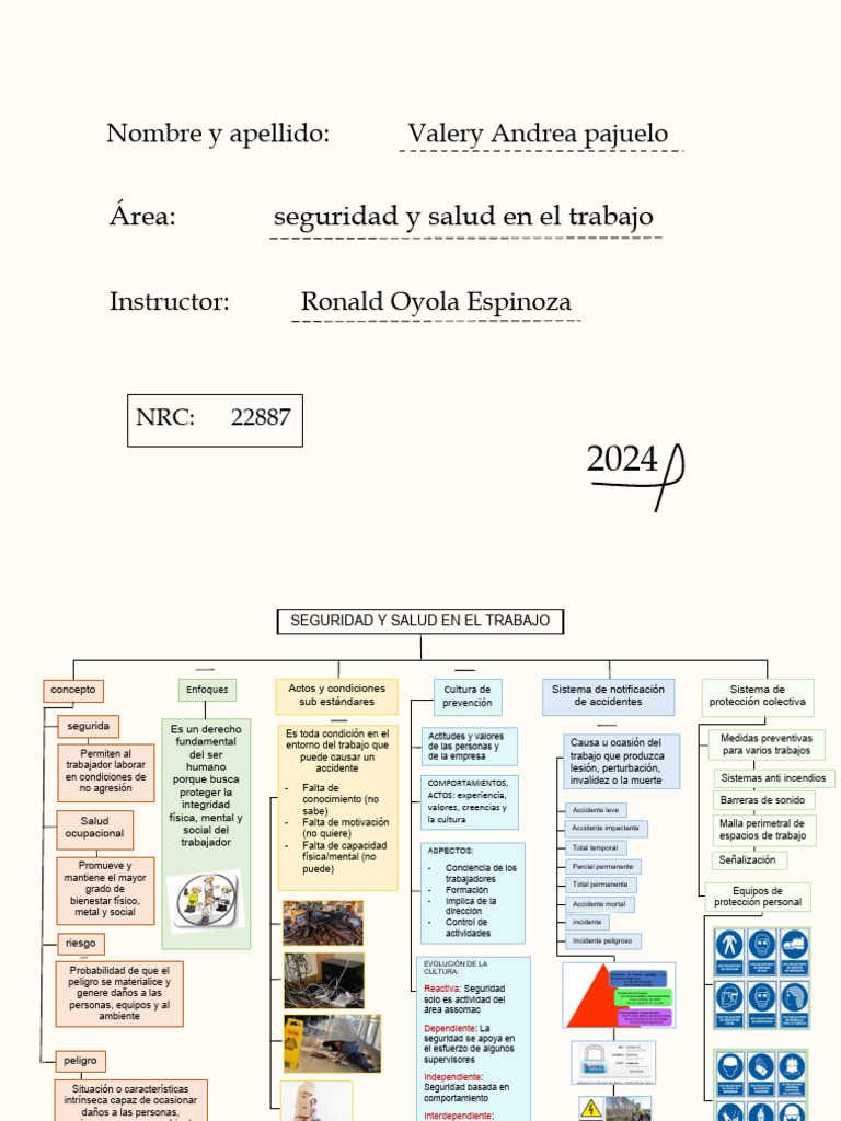 Seguridad Y Salud En El Trabajo Pdf Valores Comportamiento