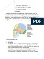 402130549 Elaborarea Metodică Numărul 2