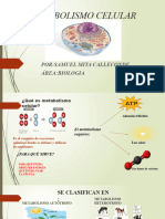 Metabolismo Celular