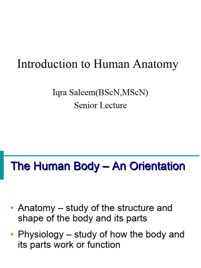 Chapter 1 | PDF | Human Body | Abdomen