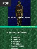 SISTEMA ENDÓCRINO