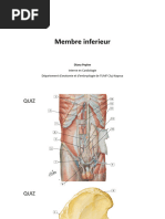 Anatomie et clinique du triangle de Scarpa | PDF | Anatomie de membre ...