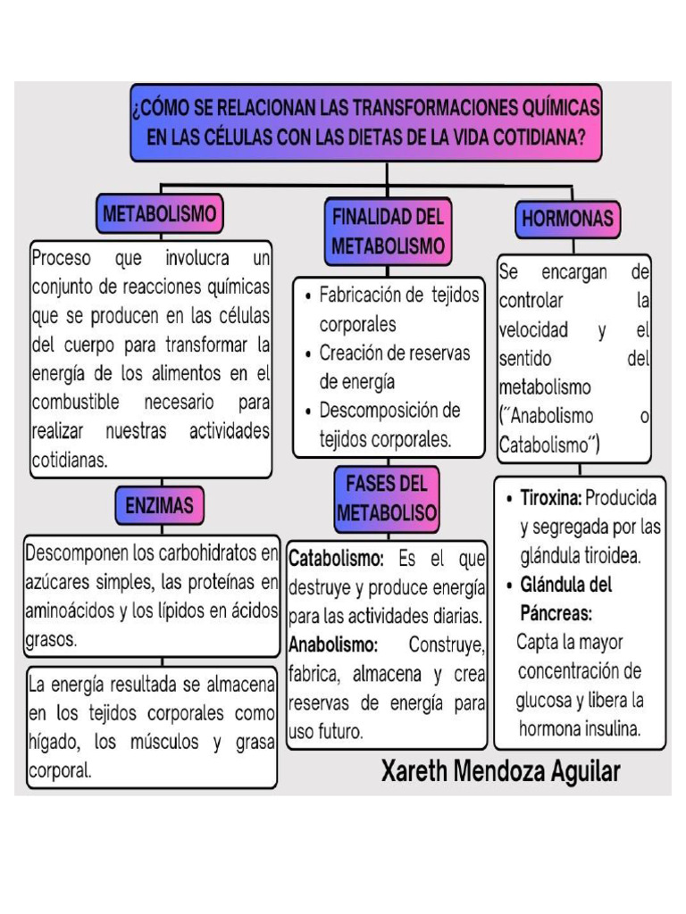 MAPAS CONCEPTUALES | PDF
