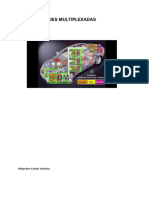 Redes Multiplexadas