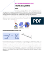 Digestión y Absorción de Proteínas