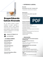 Galvan Alvarado Brayan Eduardo Curriculum Vitae