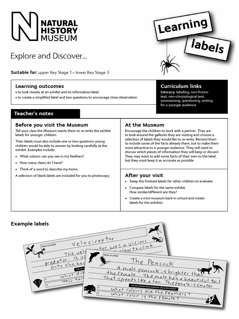 Rewriting Museum Labels for Kids | PDF | Cognition | Learning