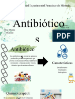 Tema 3 Antibióticos - 20240331 - 140123 - 0000